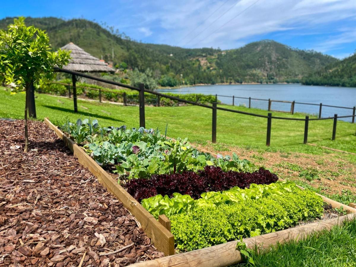 Campos River House Figueiro Dos Vinhos Kültér fotó